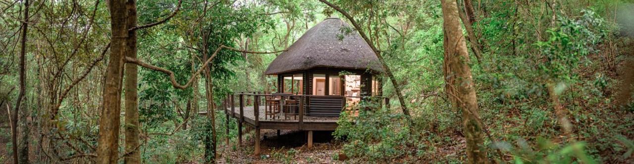 Serenity Mountain And Forest Lodge Malalane Extérieur photo